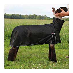 Cool Tech Cooling Blanket for Sheep Sullivan Supply